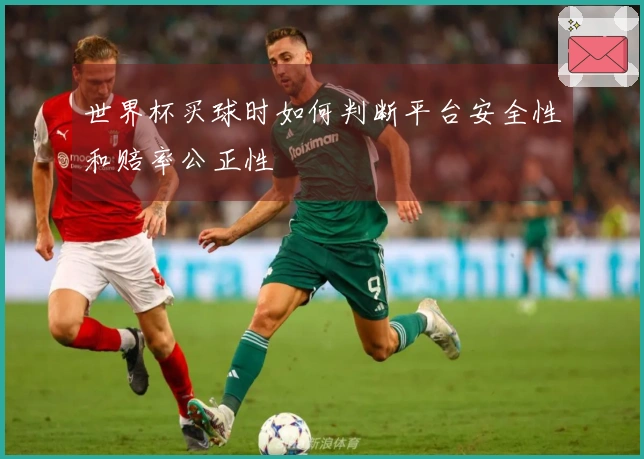 世界杯买球时如何判断平台安全性和赔率公正性